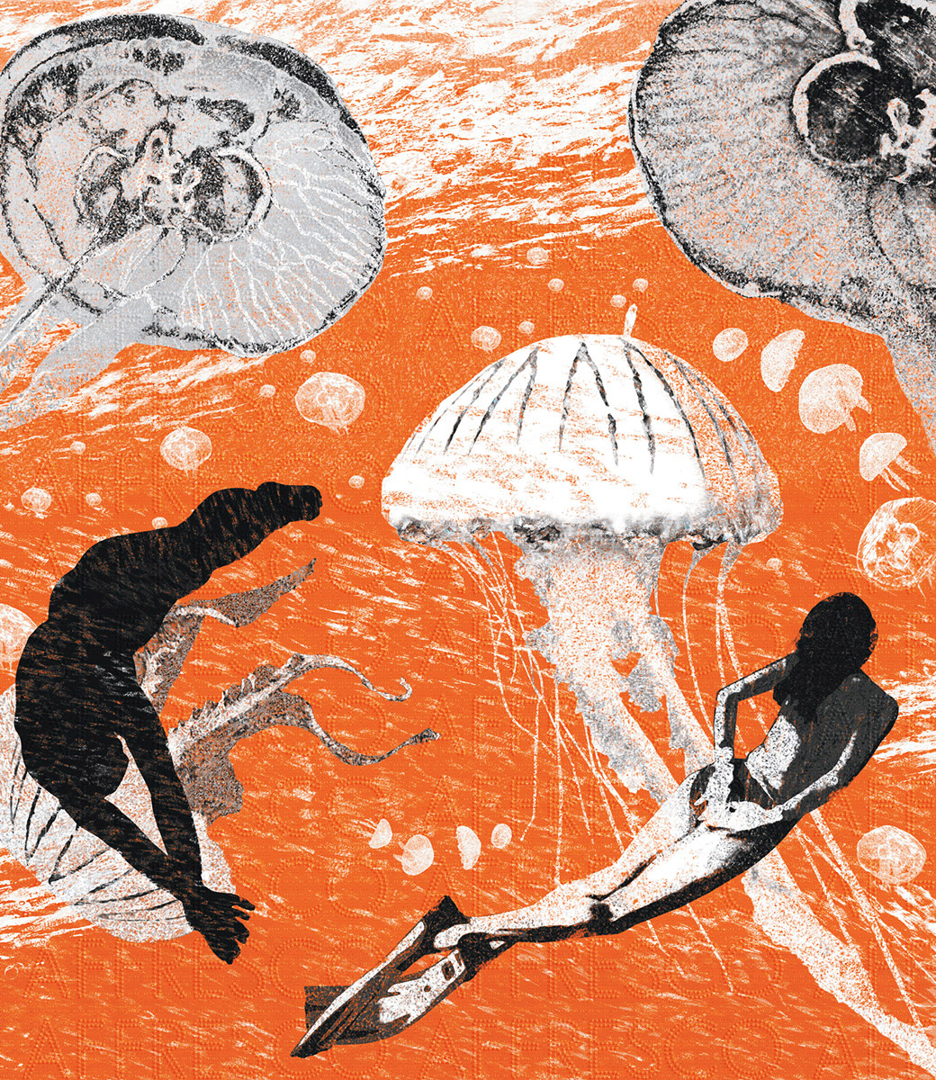 Affresco Графика и орнамент 7135