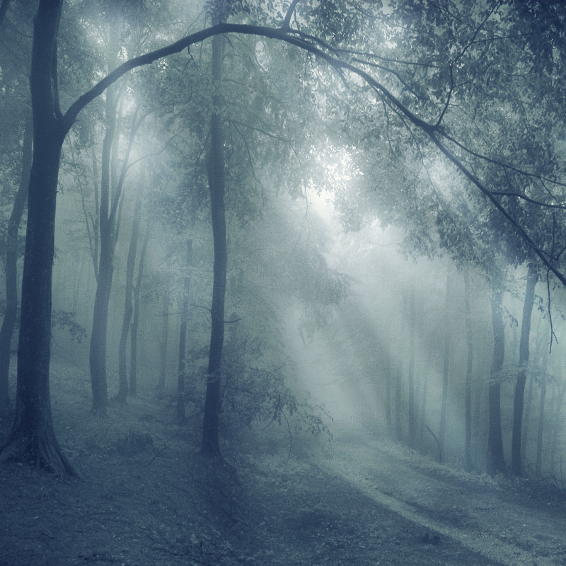 Affresco фотографии природы ID10887