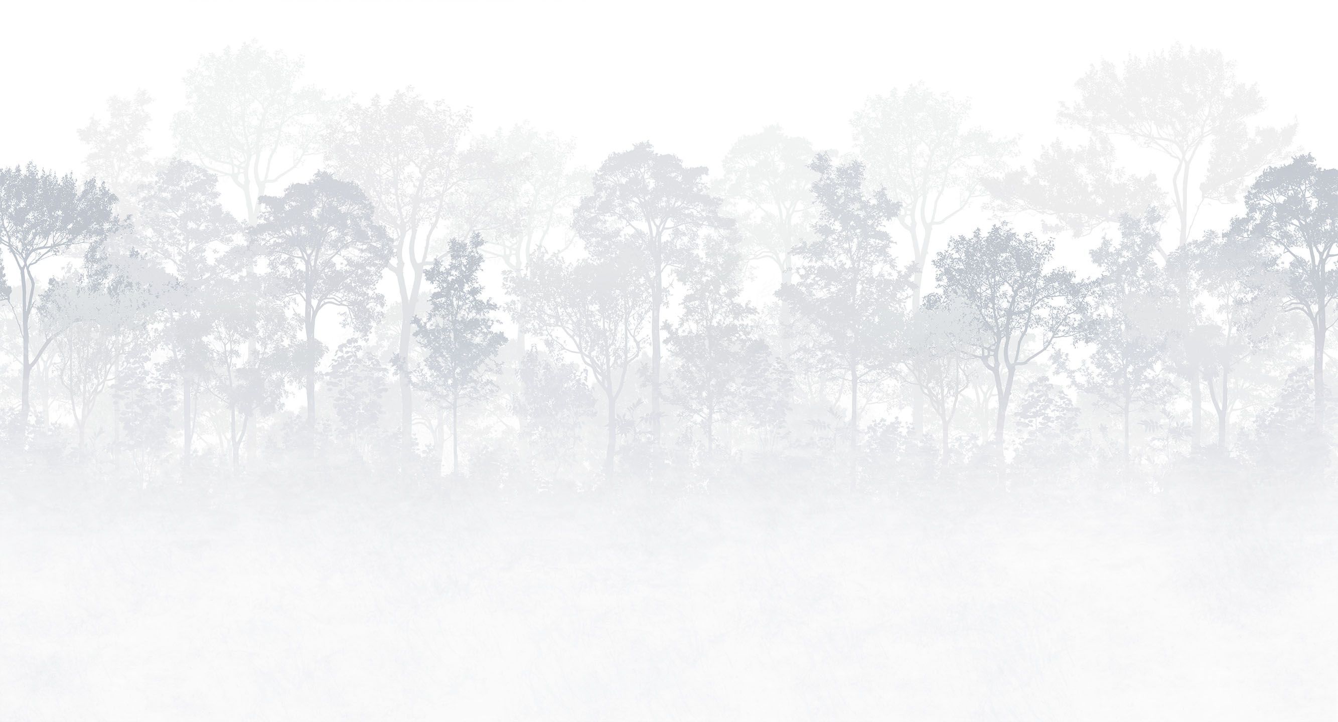 494213 Creativille панорама леса