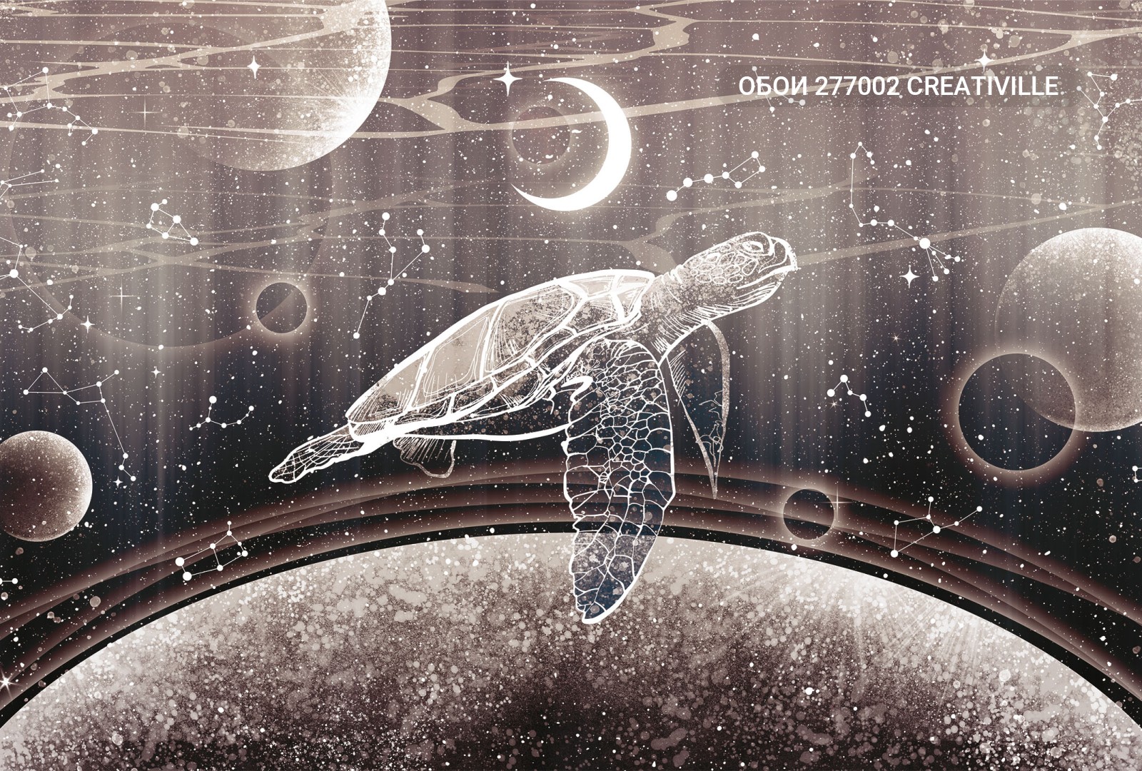 277002 Creativille космическая фантазия с черепахой