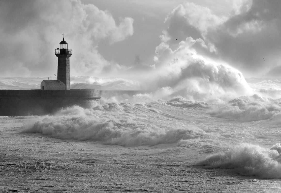 Affresco фотографии природы ID11205