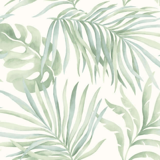 York  Candice Olson Wallcoverings  Paradise Palm Premium Peel + Stick Wallpaper- Aloe PSW1413RL