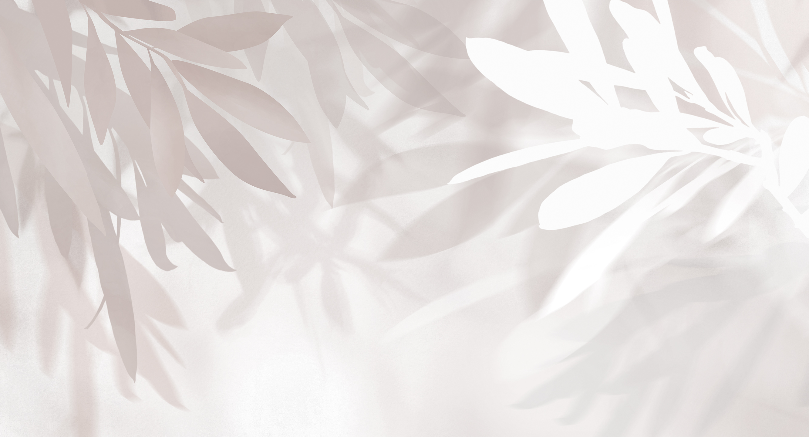 435005 Creativille Листья оливы