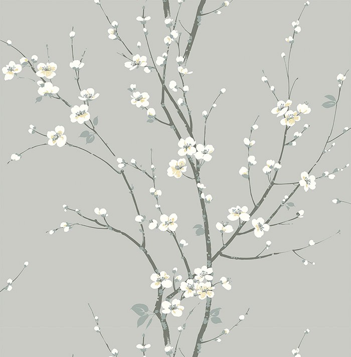 KT ExclusiveNewport ec81808