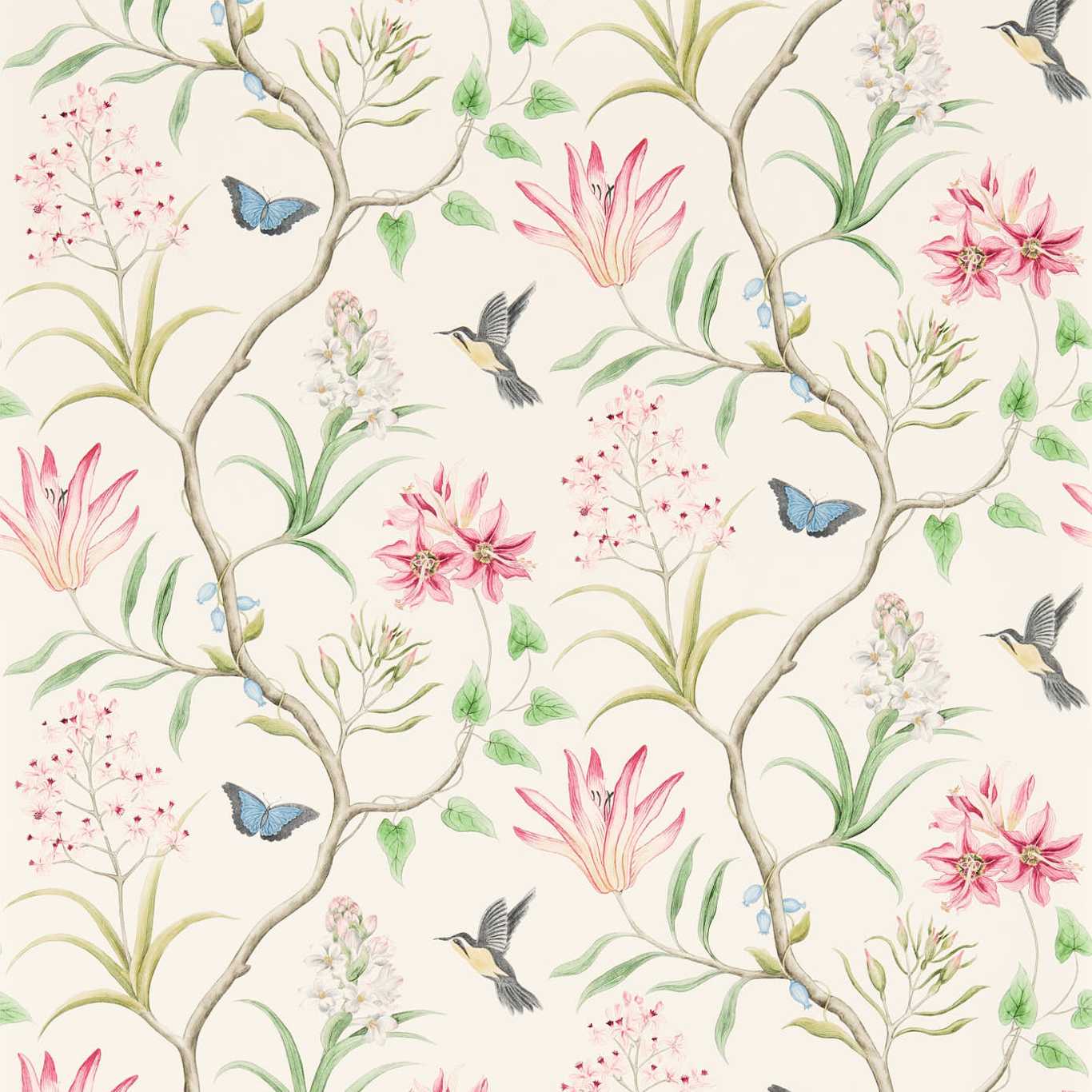 Sanderson Sanderson One Sixty Wallpapers Clementine  DVOY213388