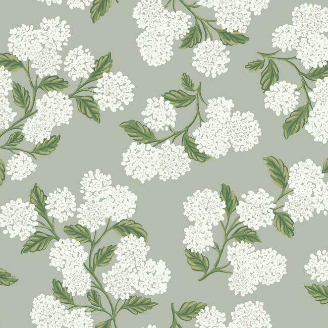 York  Rifle Paper Co. Wallcoverings  Hydrangea Wallpaper- Grey RI5144