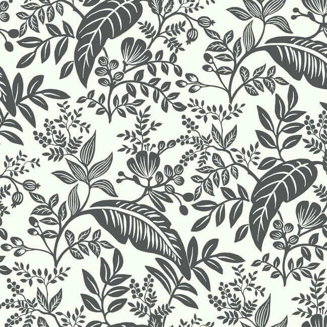 York  Rifle Paper Co. Wallcoverings  Canopy Wallpaper- Black & White RI5136