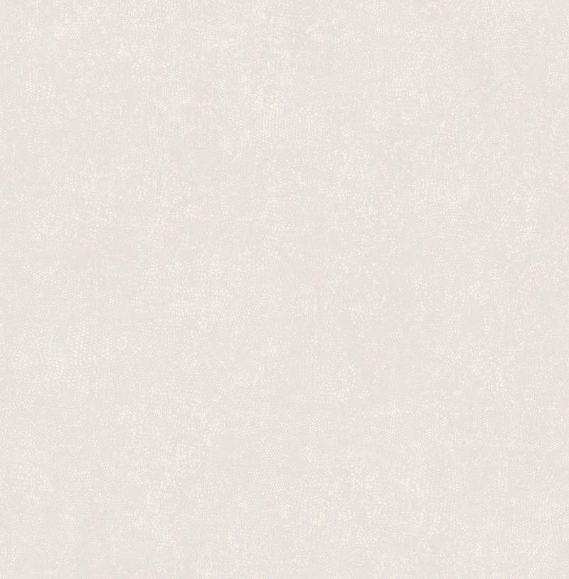 KT ExclusiveStudio Textures jt30904