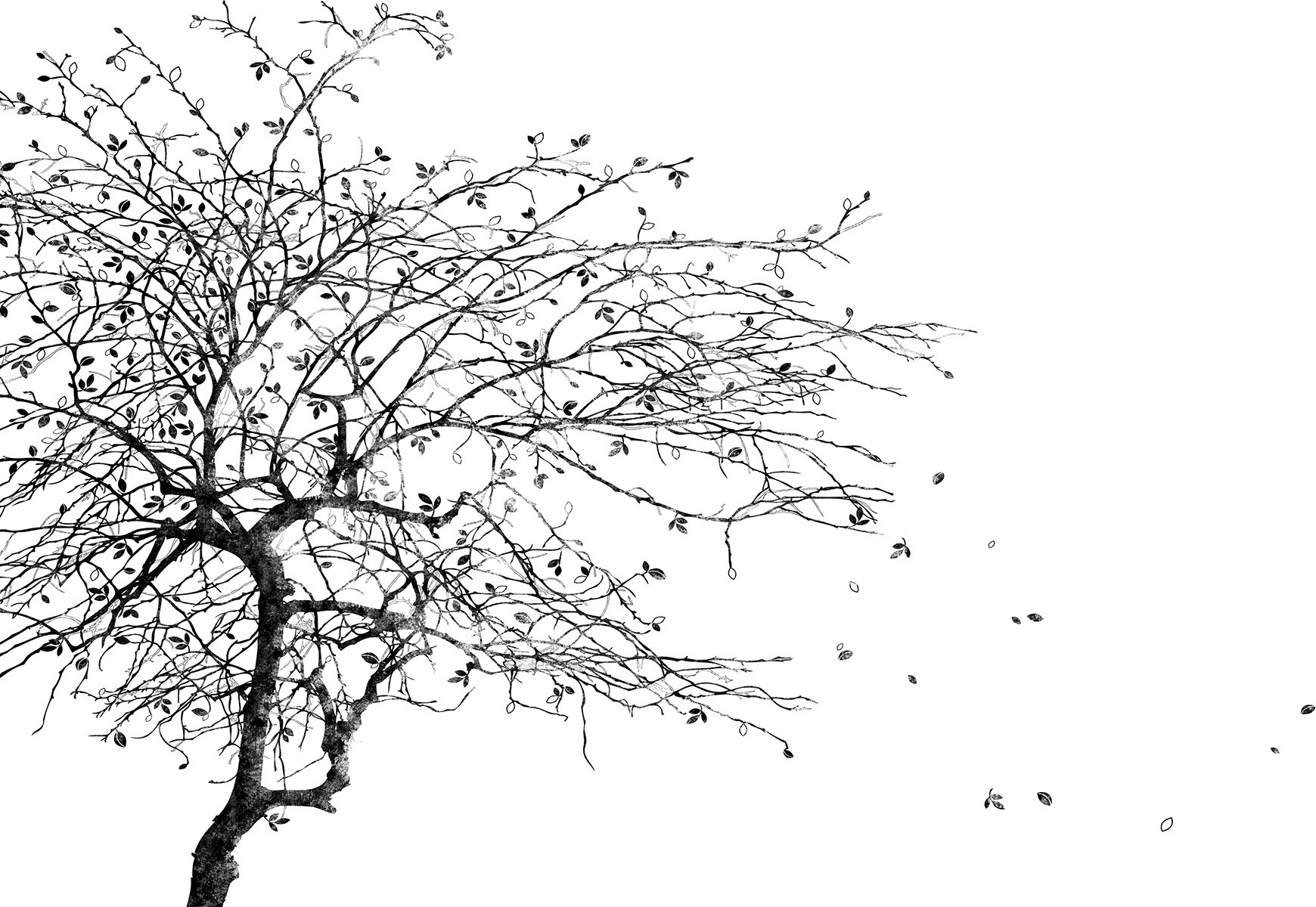 Affresco Природа ID135780