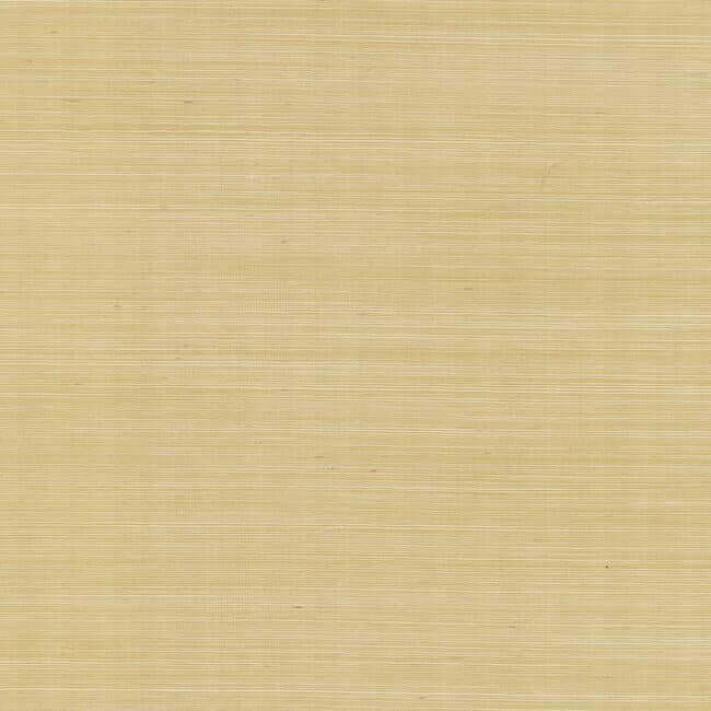 York  Rifle Paper Co. Wallcoverings  Palette Wallpaper- Gold RI5185