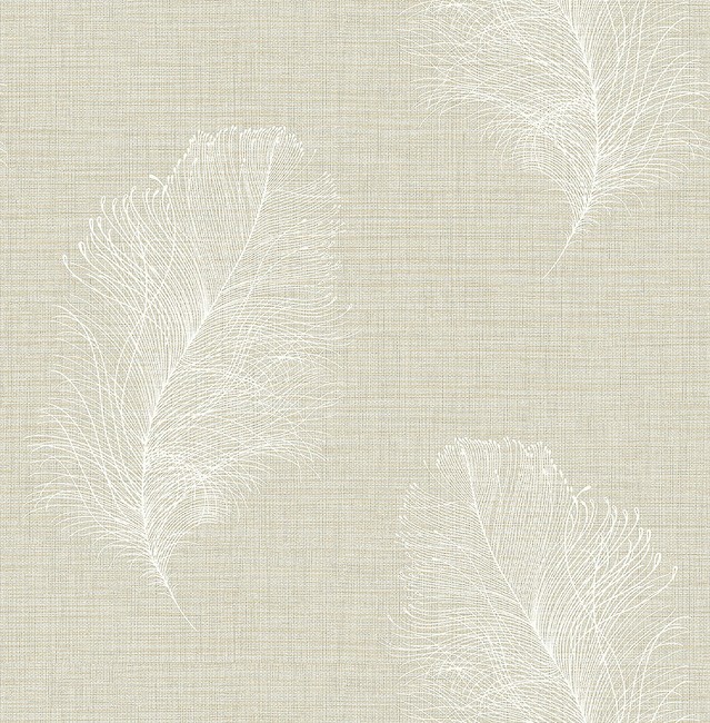 Carl Robinson 15 cr78203