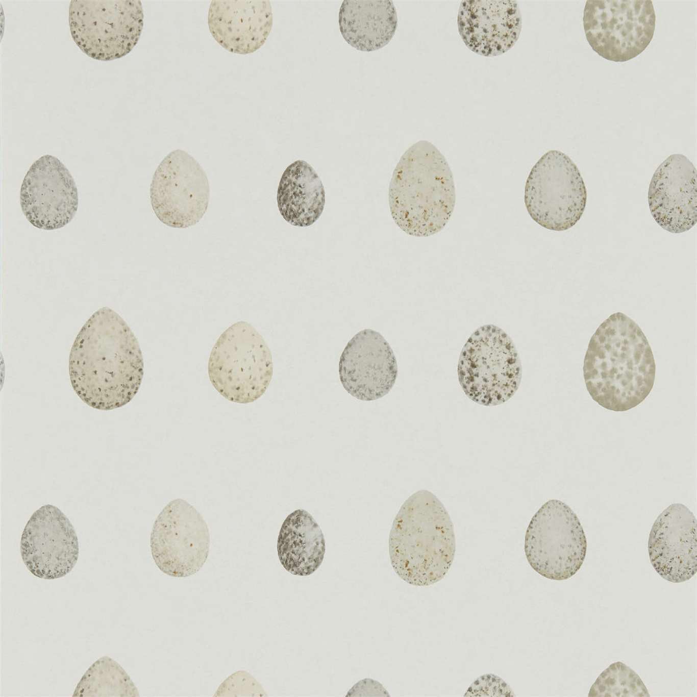 Sanderson Embleton Bay Wallpapers Nest Egg  DEBB216503