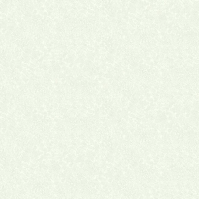 York  Rifle Paper Co. Wallcoverings  Champagne Dots Wallpaper- Linen & White RI5115