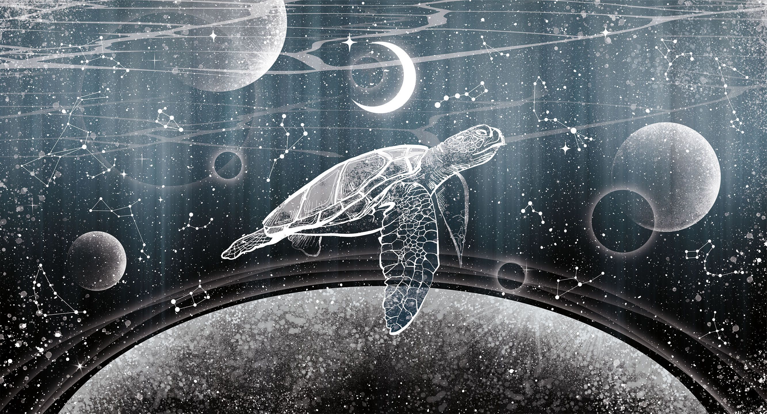 277001 Creativille космическая фантазия с черепахой