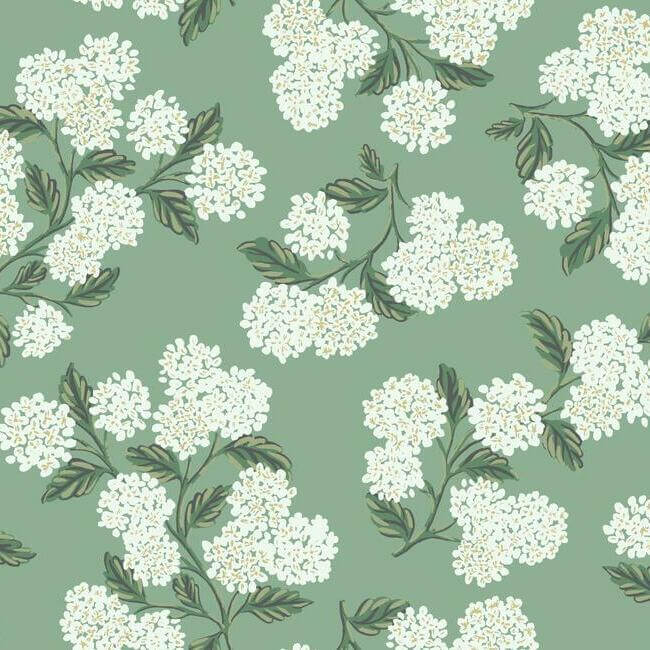 York  Rifle Paper Co. Wallcoverings  Hydrangea Wallpaper- Jade RI5145