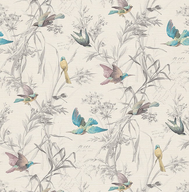 KT ExclusiveSanctuary fj40910