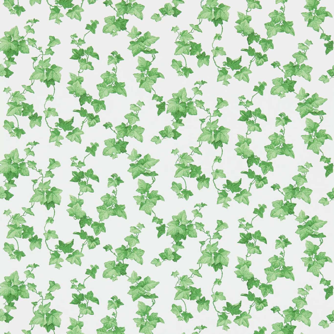 Sanderson Sanderson One Sixty Wallpapers Hedera  DVIN214593