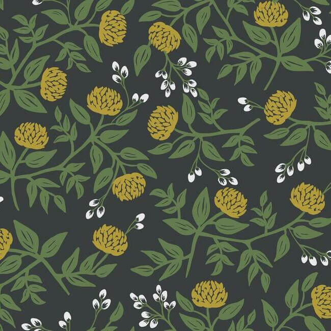 York  Rifle Paper Co. Wallcoverings  Peonies Wallpaper- Black & Gold RI5151