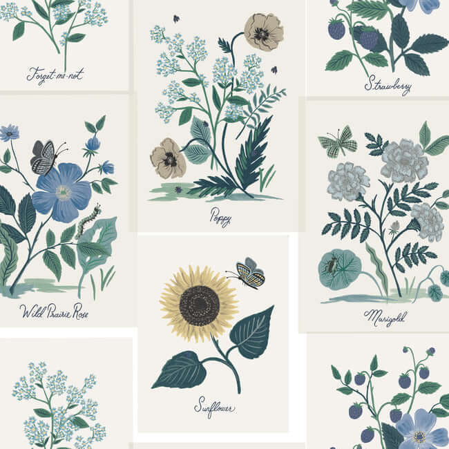 York  Rifle Paper Co.  Botanical Prints Wallpaper- Indigo RP7335