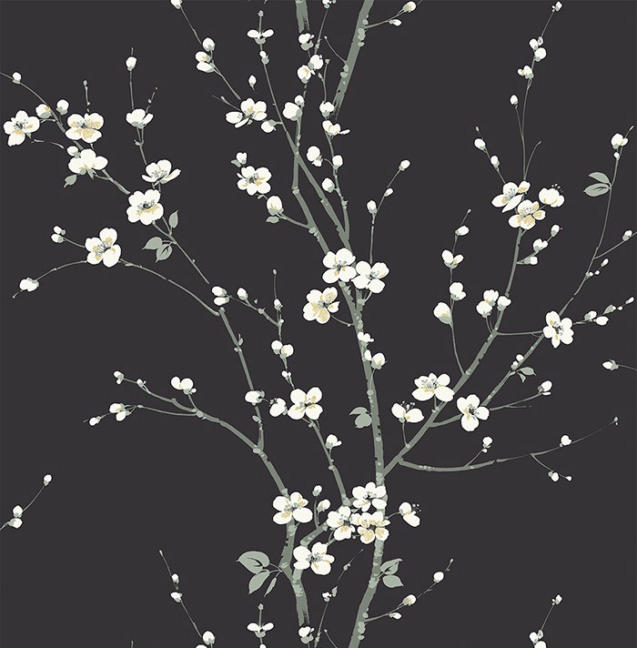 KT ExclusiveNewport ec81800