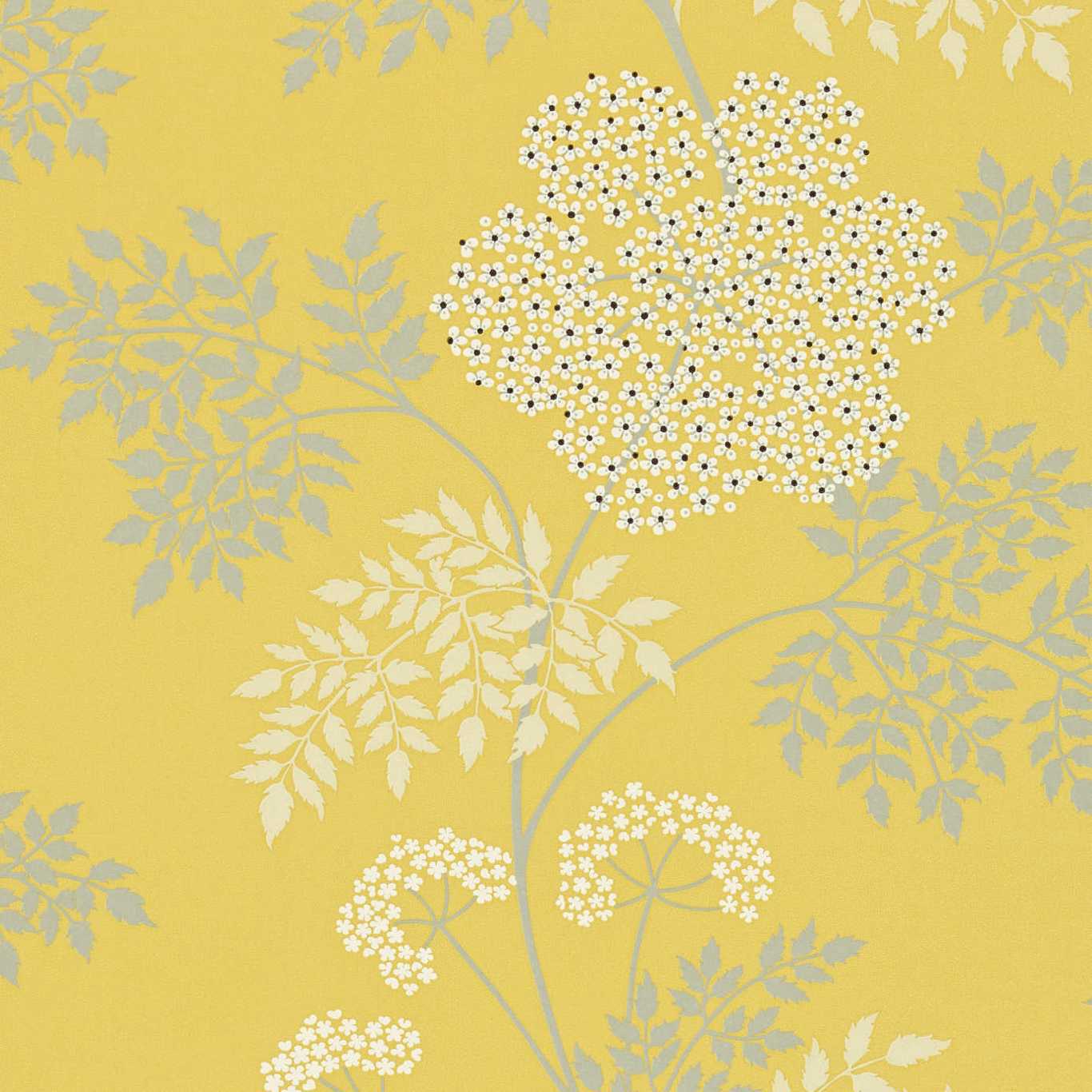 Sanderson Sanderson One Sixty Wallpapers Cowparsley  DOPWCO105
