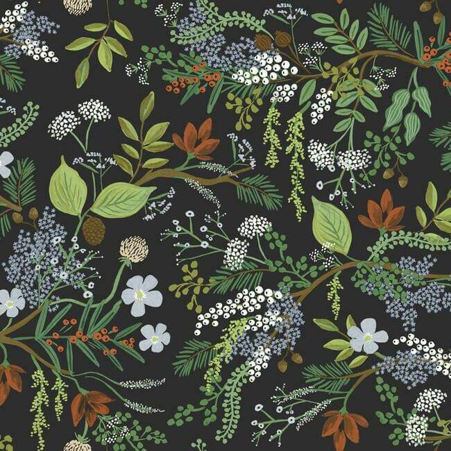 York  Rifle Paper Co. Wallcoverings  Juniper Forest Wallpaper- Black RI5166