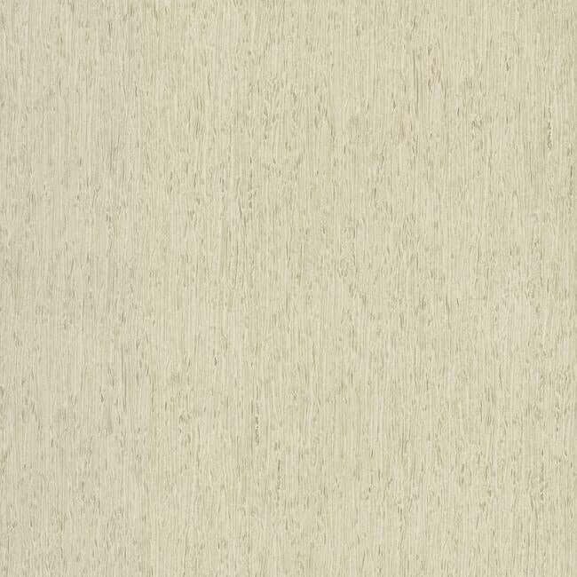 York  Simply Farmhouse  Rugged Bark Wallpaper- Off-White FH4091