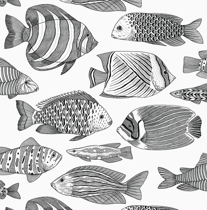 KT ExclusiveNewport ec80200