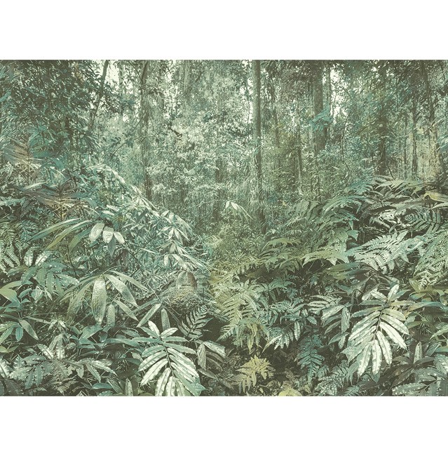 Carl Robinson 15 cr78100m