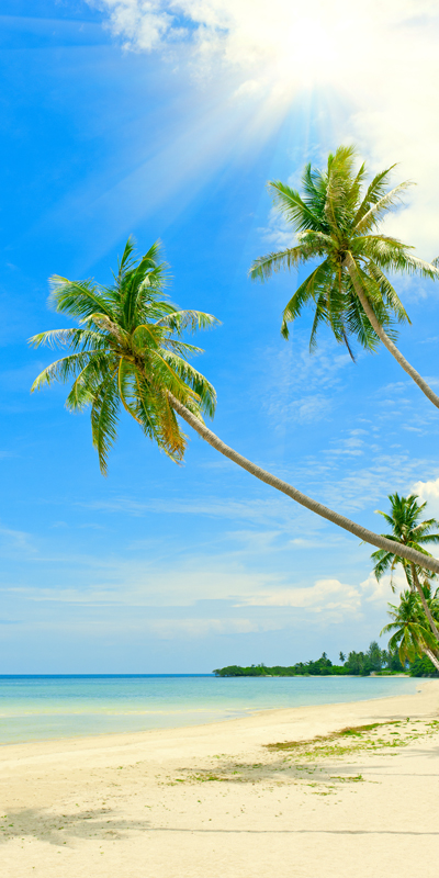 Affresco Лучшие пейзажи ID12885