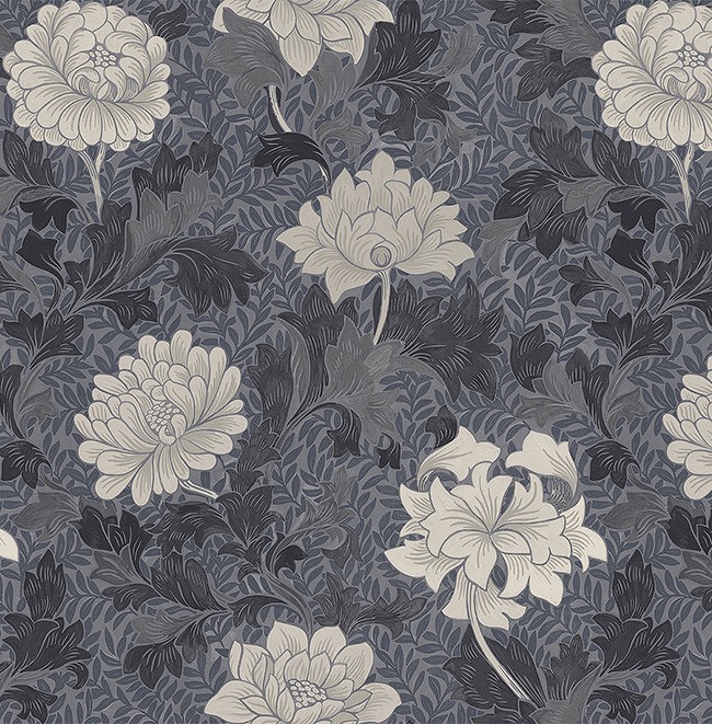 KT ExclusiveSanctuary fj41209