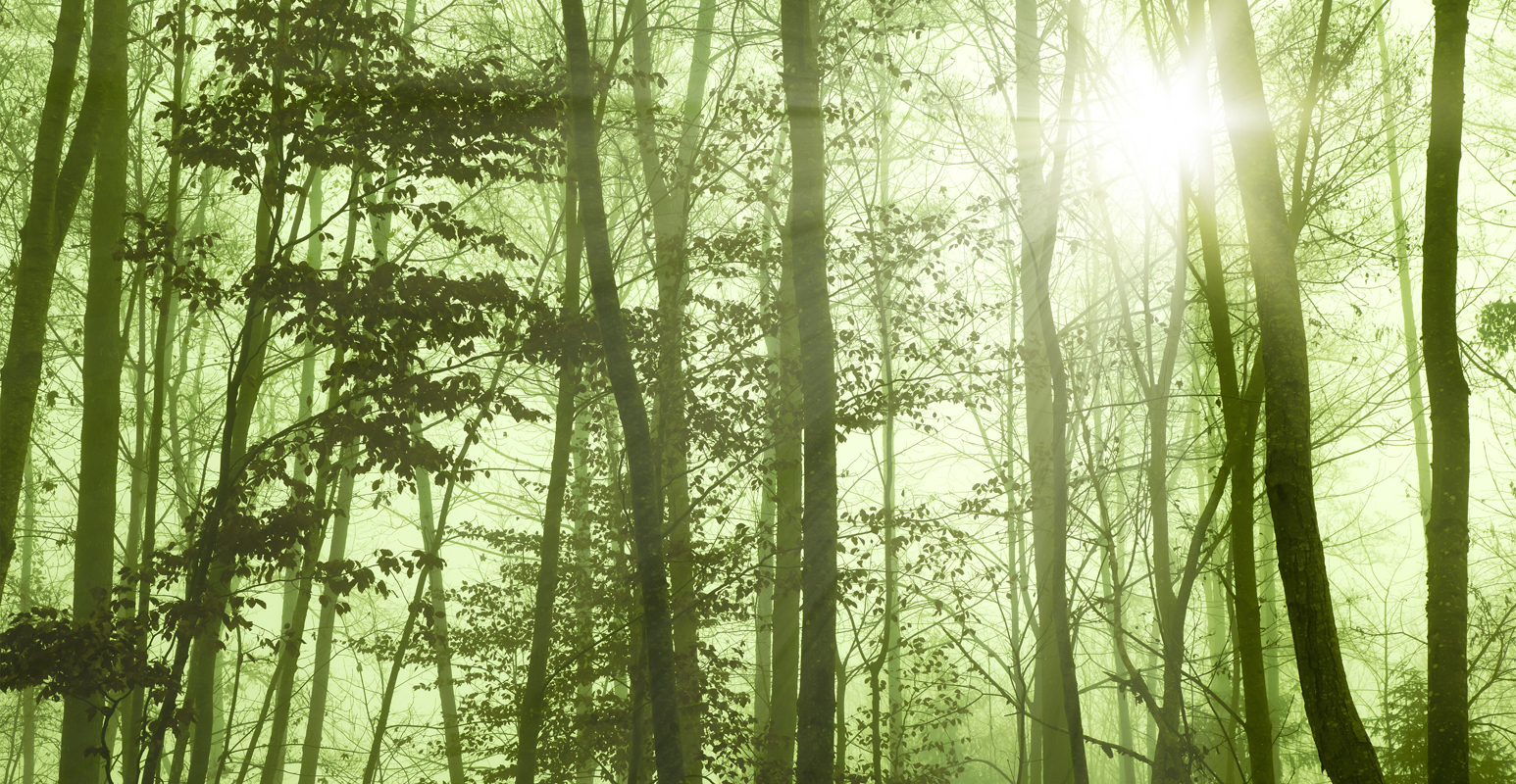 Affresco фотографии природы ID135667