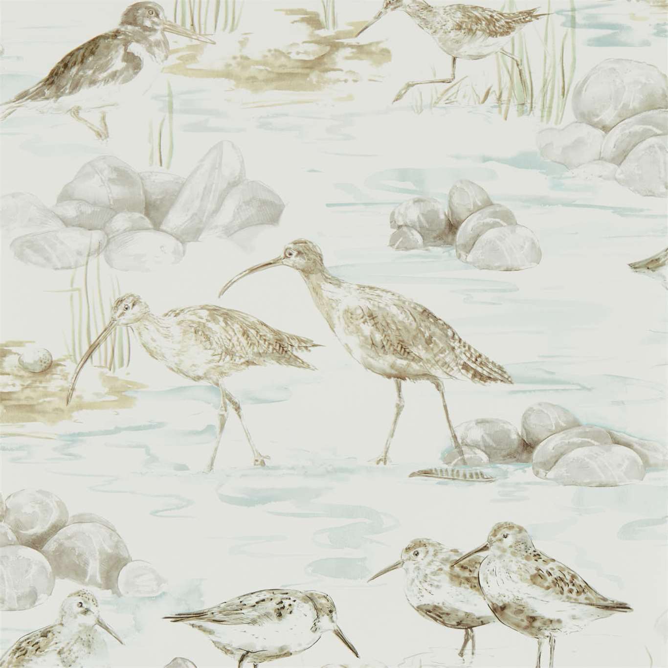 Sanderson Embleton Bay Wallpapers Estuary Birds  DEBB216494