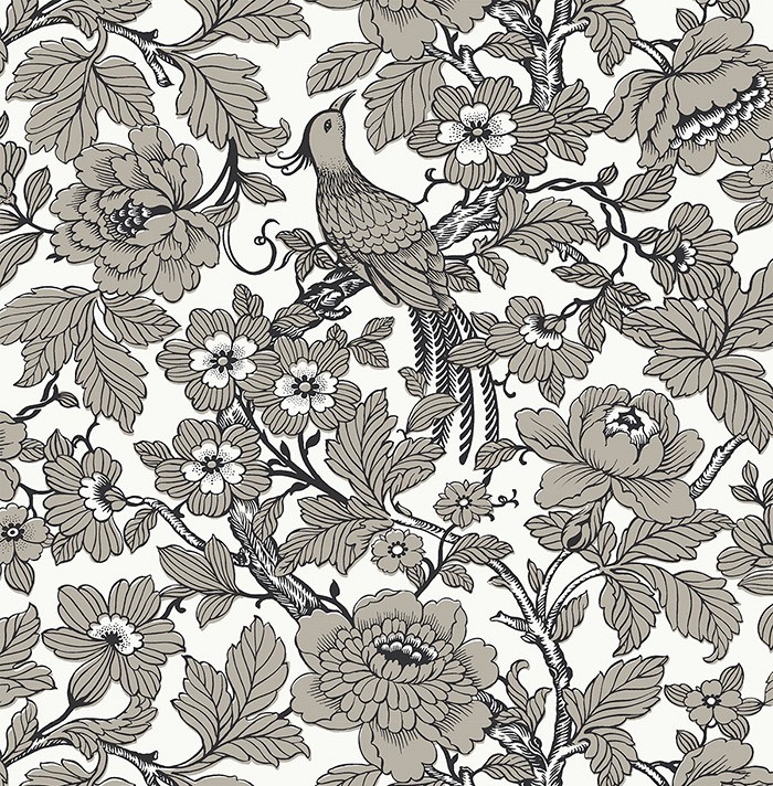 KT ExclusiveNewport ec80410