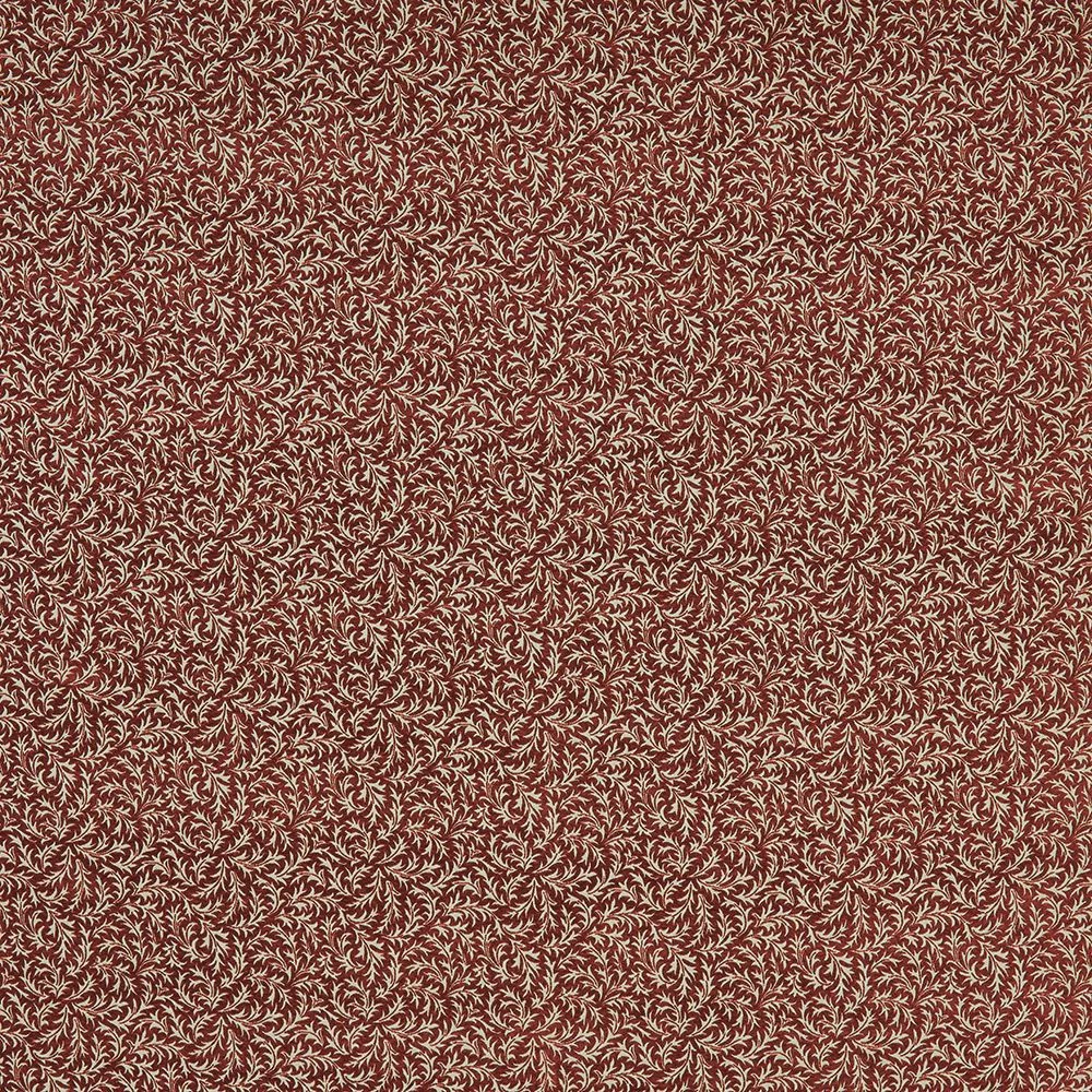 Aster Garnet EBCE/ASTERGAR ILIV
