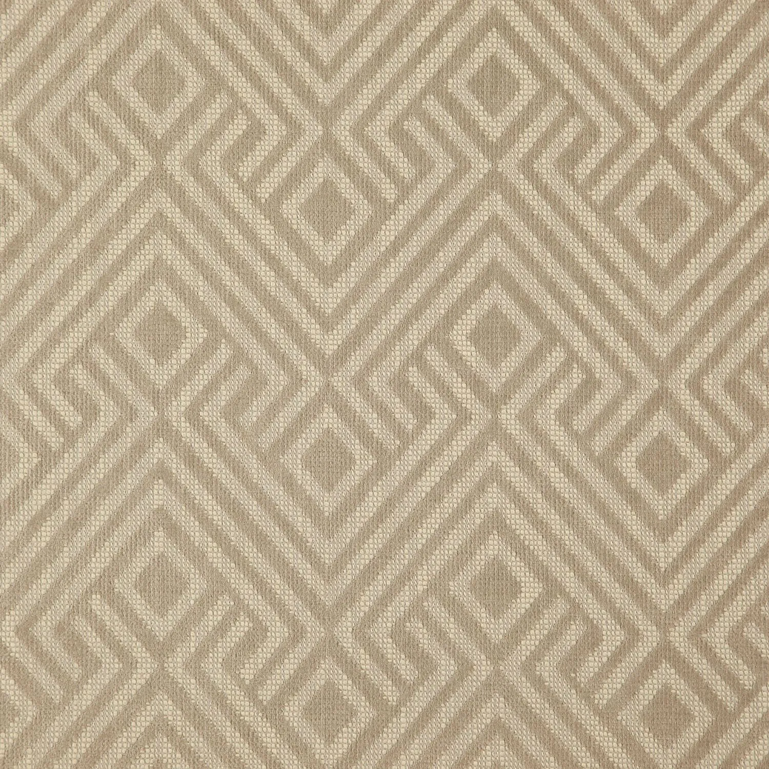 LUCIE 17 ANGORA  ORLANDO Galleria Arben