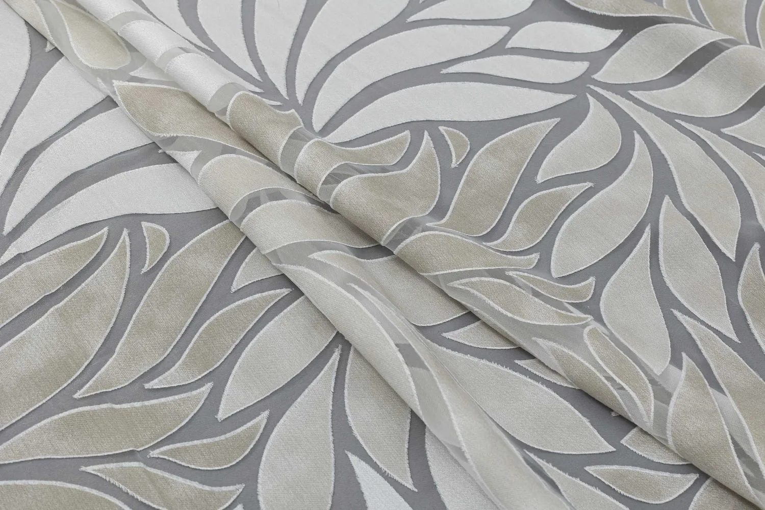 FOGLIE 17300  SOPRANO Galleria Arben
