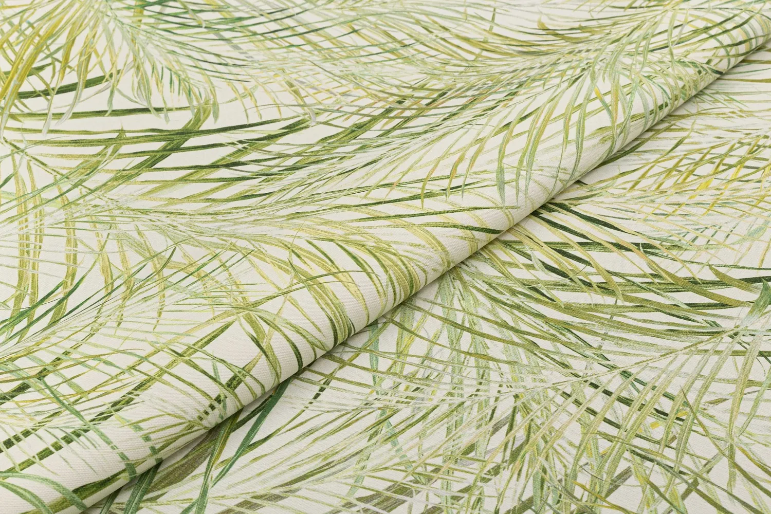 ALOE 02 LIME  TREZOR Galleria Arben