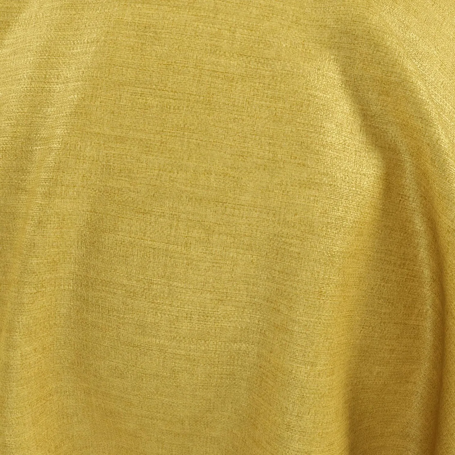 RONALDO 32 HONEY  BARON Galleria Arben