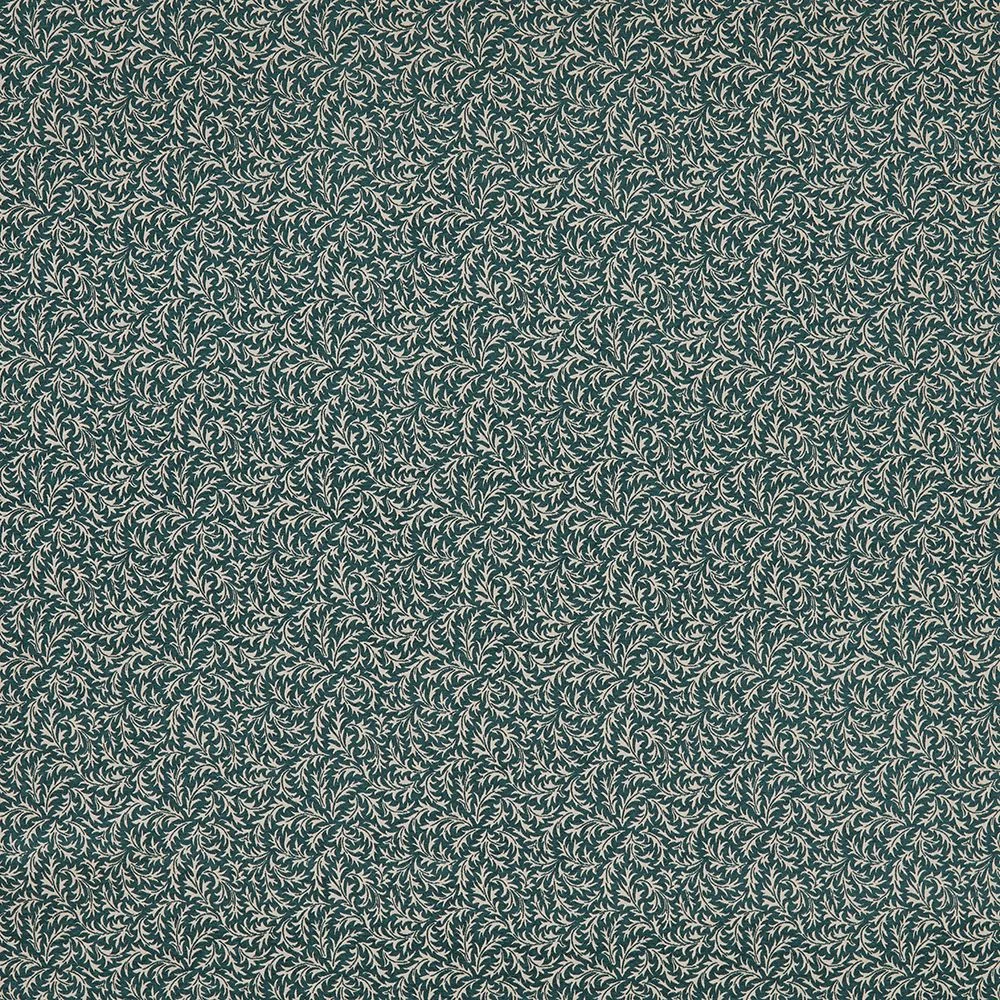 Aster Teal EBCE/ASTERTEA ILIV